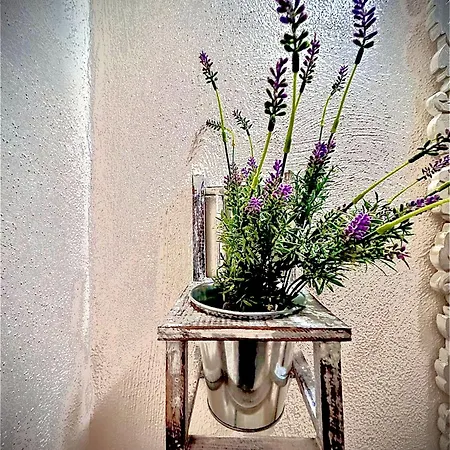 Antica Masseria Il Casone Bed & Breakfast